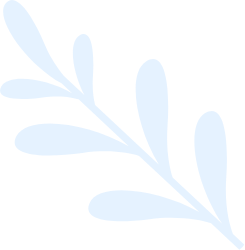 LPTech thiết kế website chuyên nghiệp