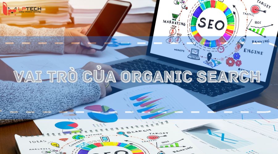Vai trò của Organic Search là gì?