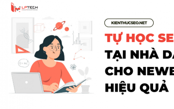 Tìm hiểu cách tự học SEO website hiệu quả cho newbie