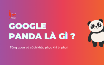 Google Panda là gì? Tổng quan về thuật toán Google Panda