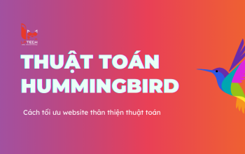 Thuật toán Humming Bird là gì? Tác động của thuật toán trong SEO