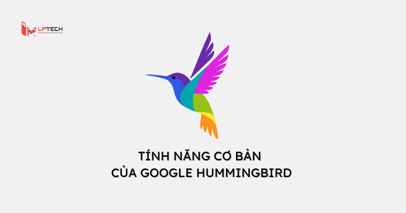 Tính năng cơ bản của Google Hummingbird