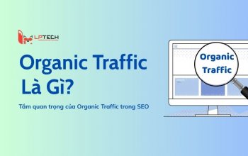 Organic Traffic là gì? Tầm quan trọng của Organic Traffic trong SEO