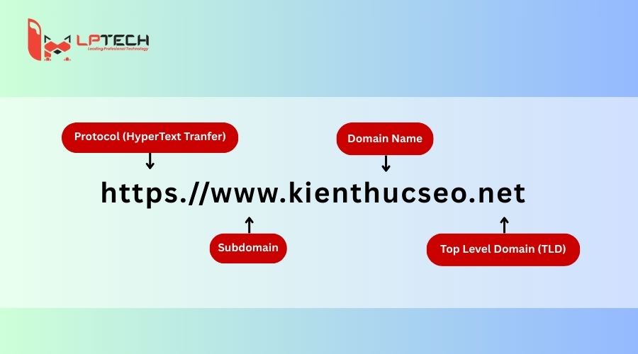 Cấu trúc Domain cơ bản
